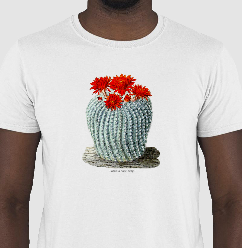 Camiseta Tshirt Parodia haselbergii