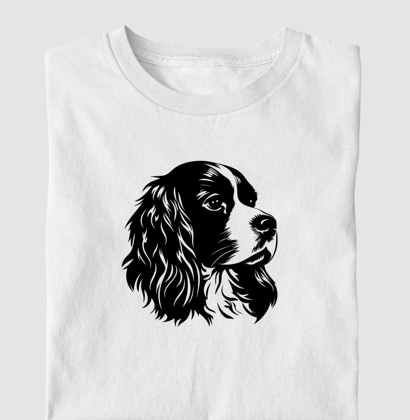 Cavalier 