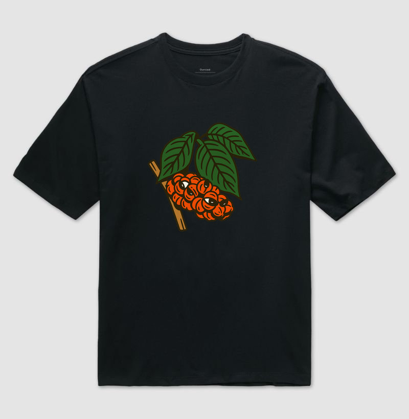 Ramo de Guaraná