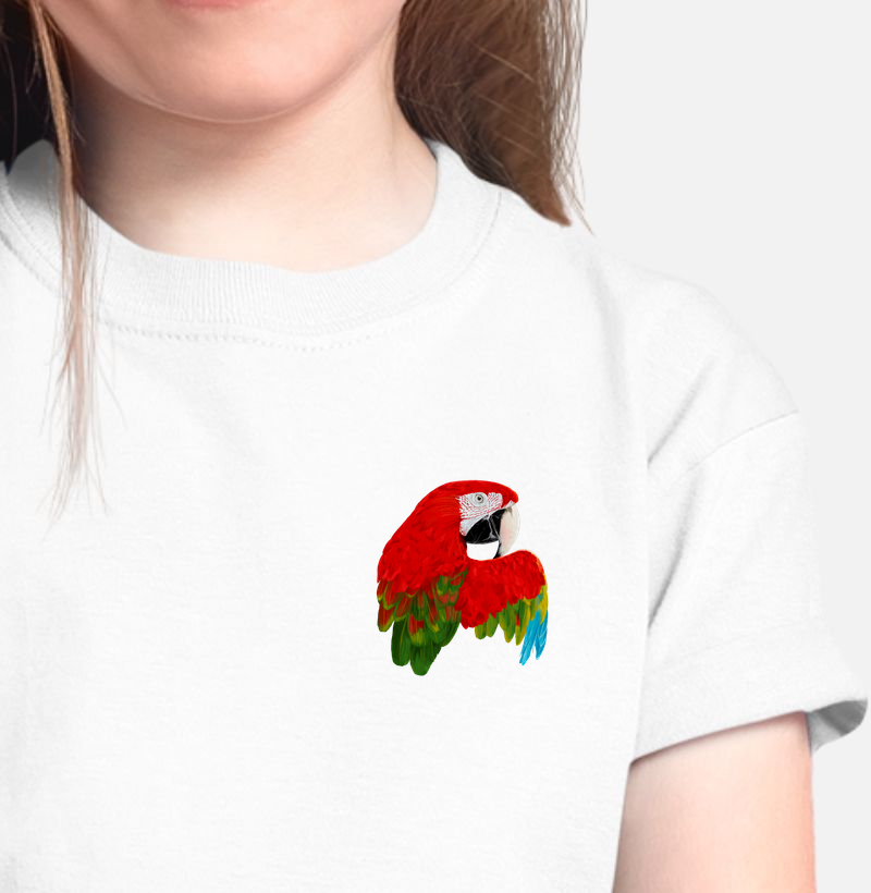 Mini Aves - Arara vermelha - Infantil