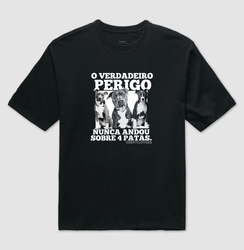 O VERDADEIRO PERIGO NUNCA ANDOU SOBRE 4 PATAS