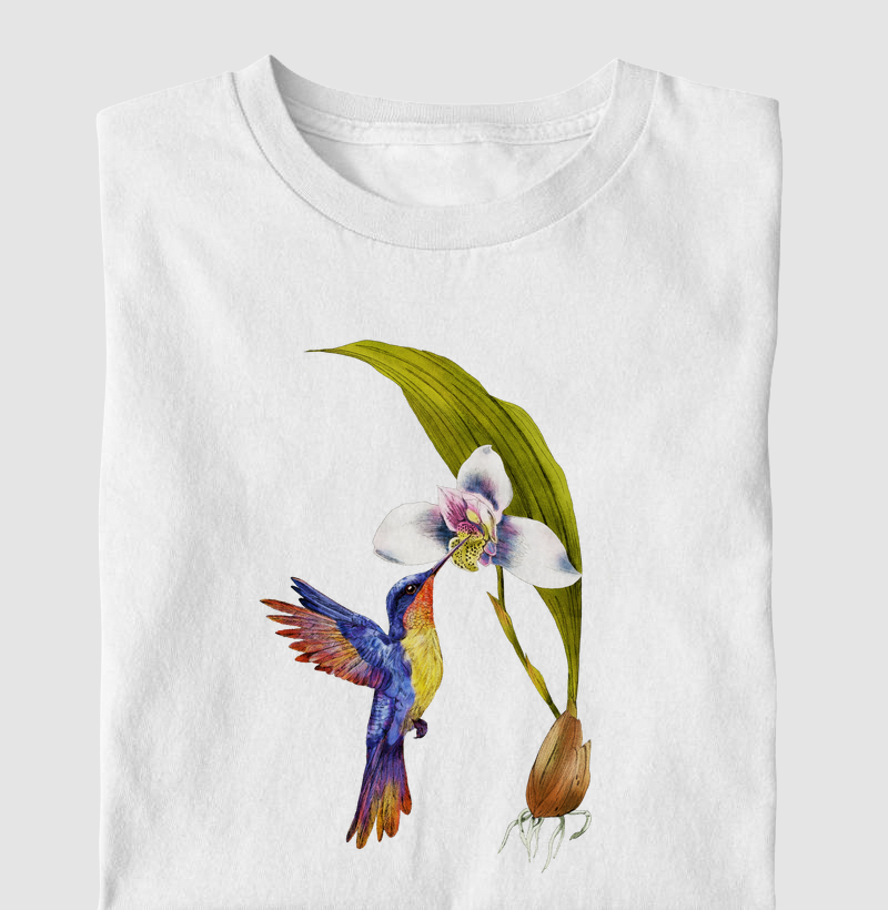 Beija-Flor Orquidea