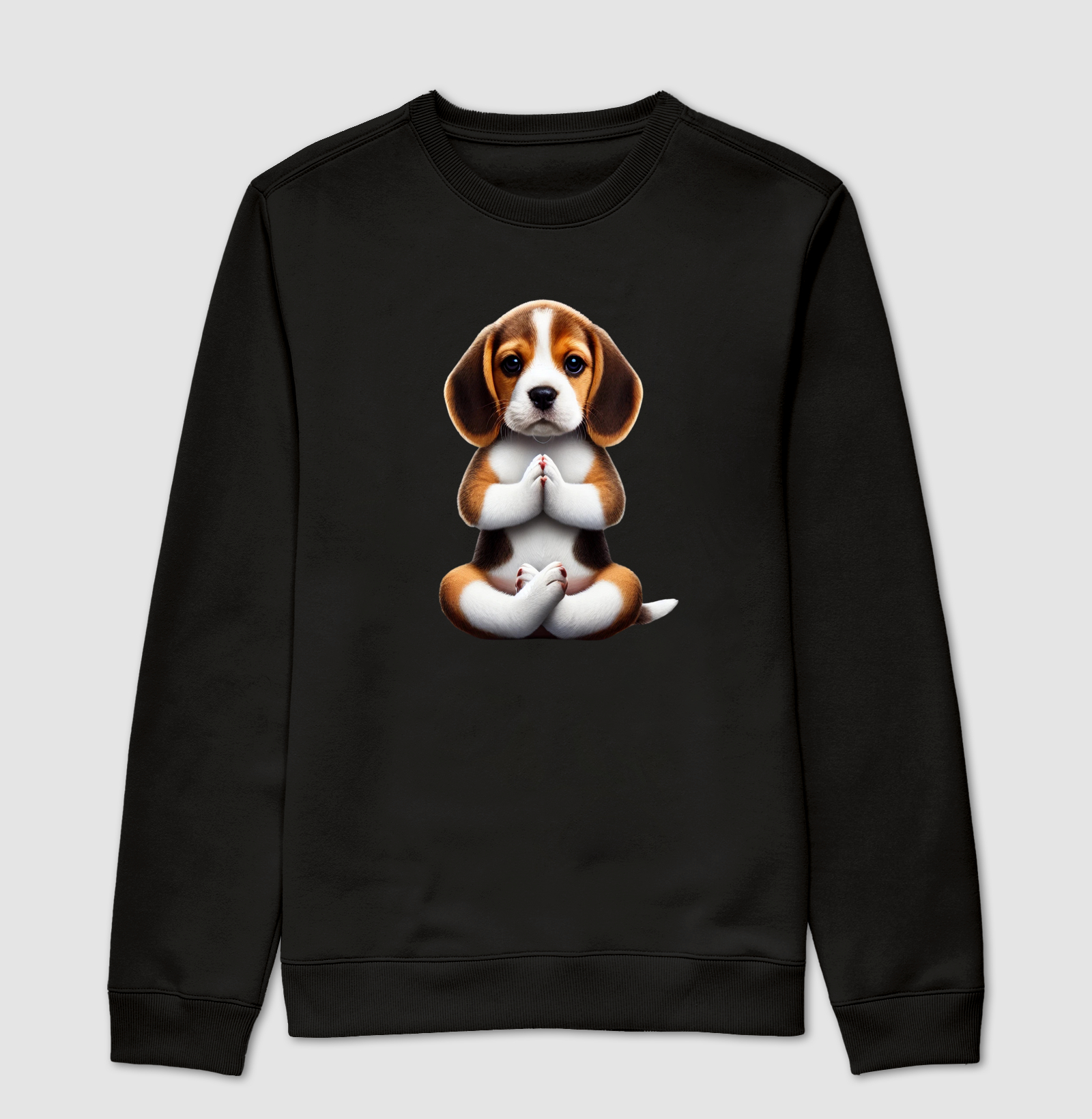 Beagle Gratidão