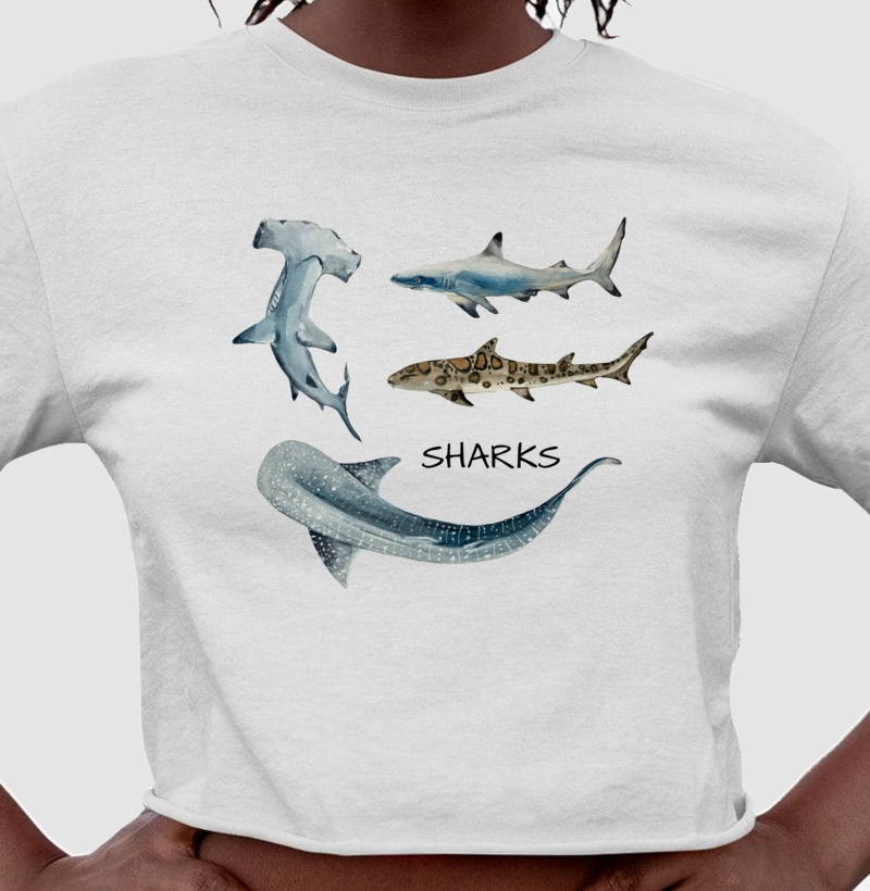The Sharks