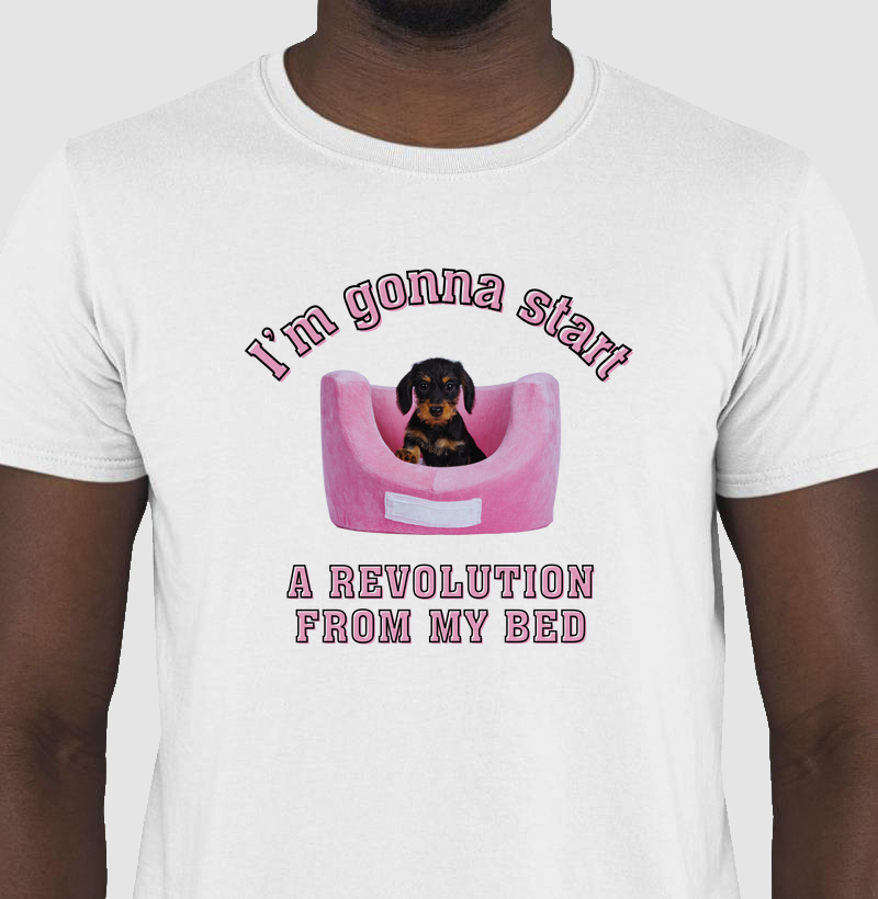 “I'm Gonna Start a Revolution From My Bed” — Edição Pet + Rock’n’Roll