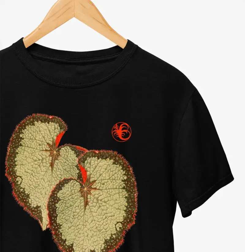 BEGONIA I