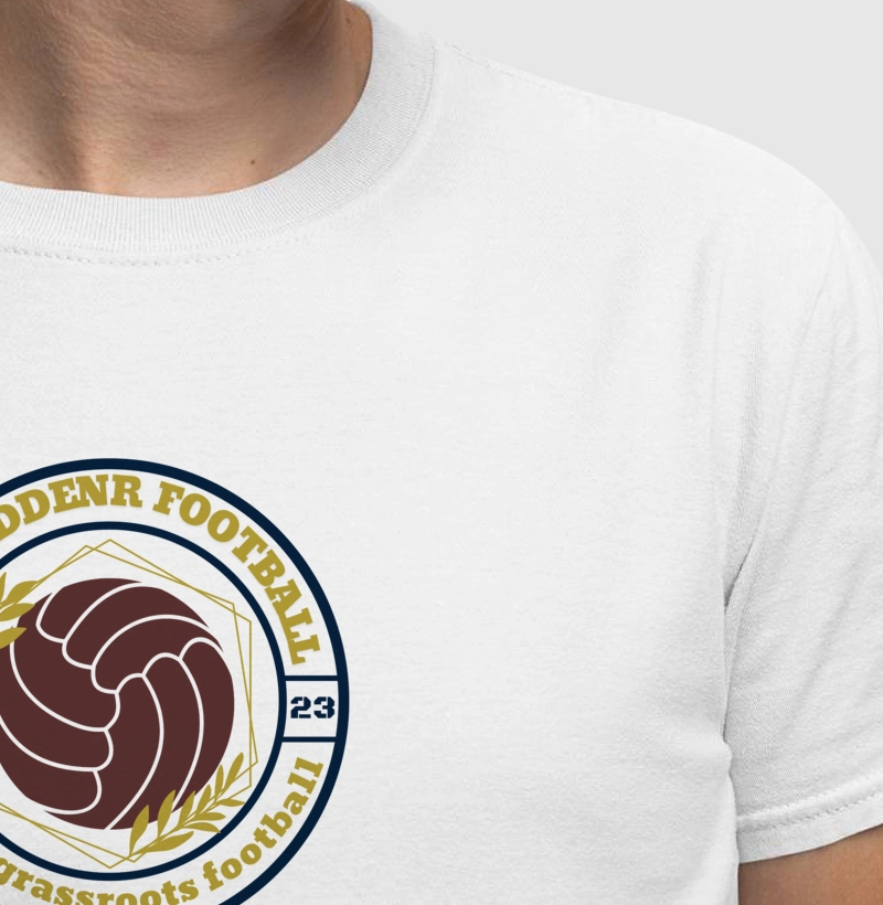 Futebol raiz 