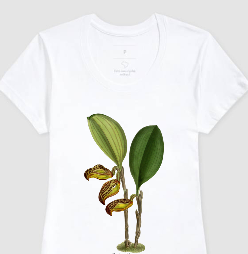 Baby Look Zootrophion dayanum t-shirt