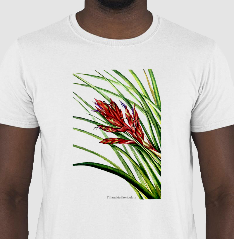 Camiseta Tshirt Tillandsia fasciculata
