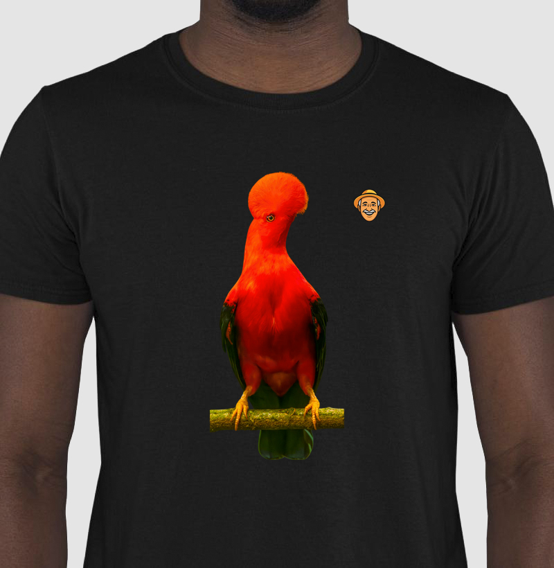 Galo-da-serra-andino