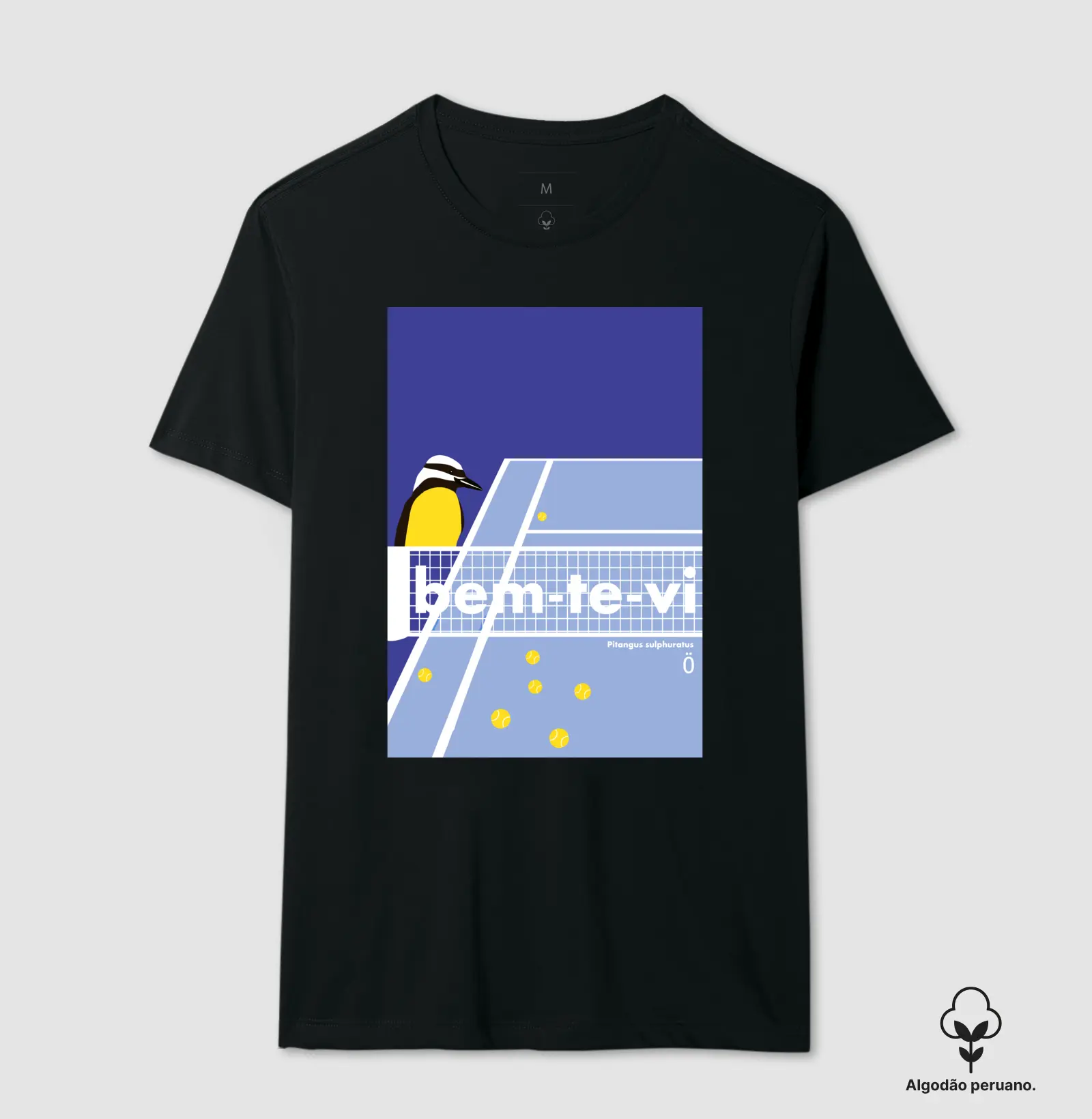 BEM-TE-VI_05