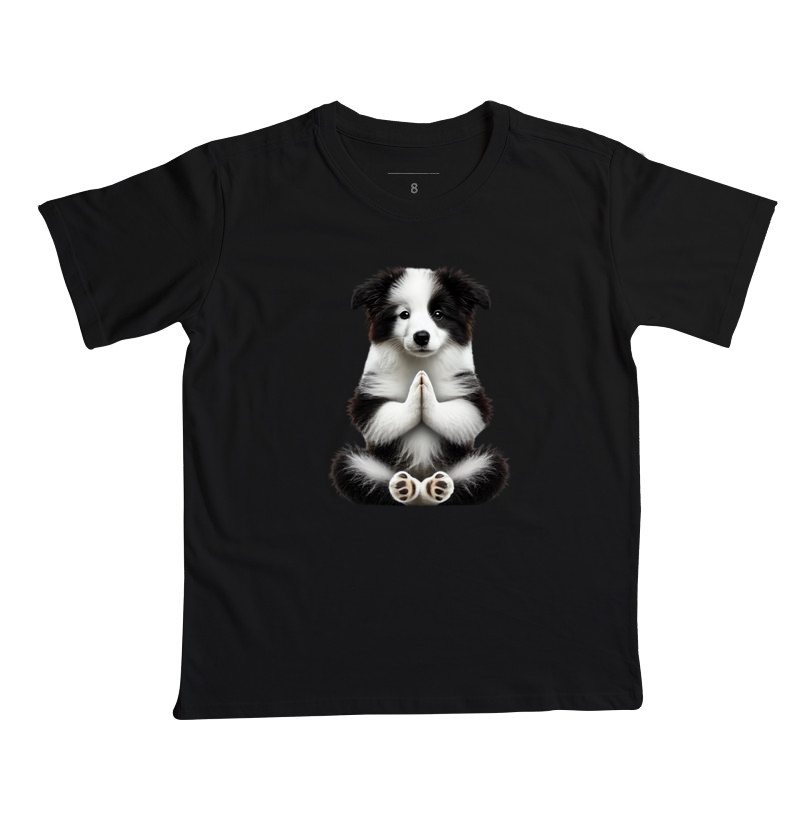 Border Collie Gratidão