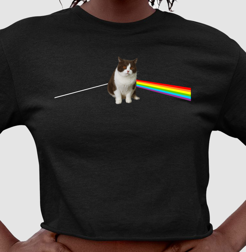 CatFloyd 
