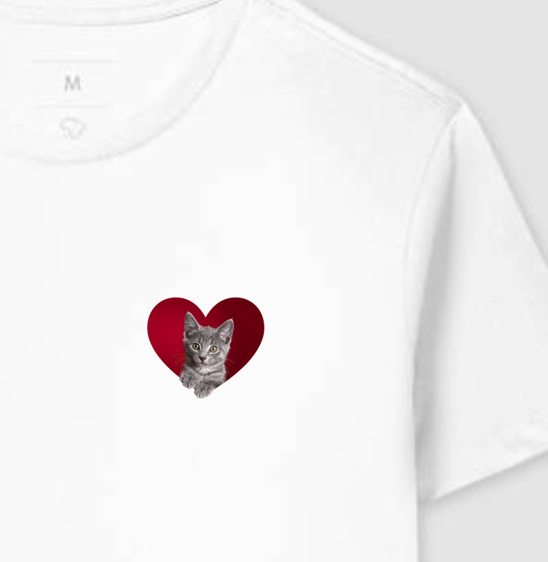 Meu Coração é Cinza