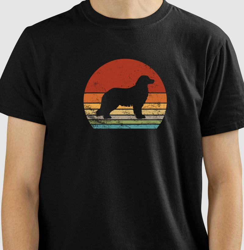 Sunset Bernese