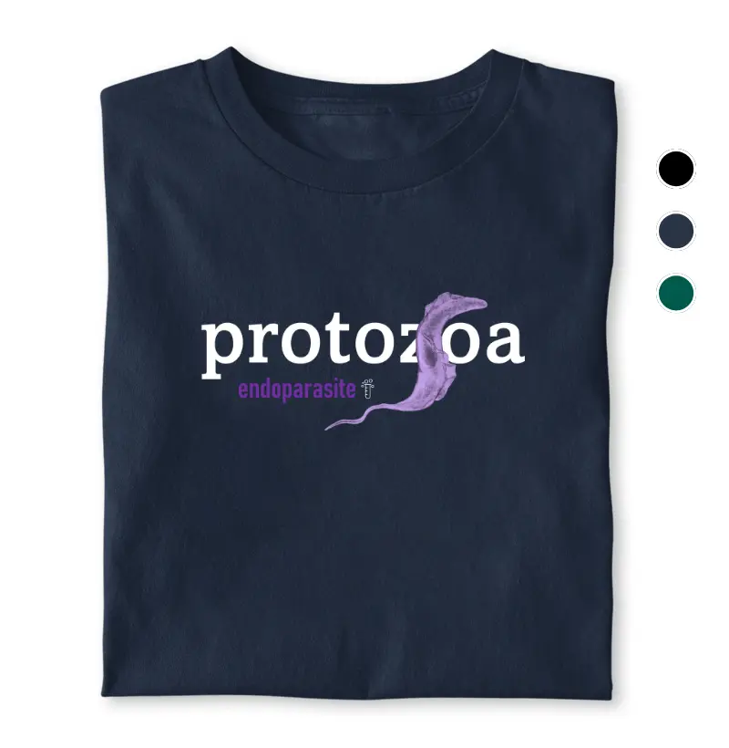 Protozoa