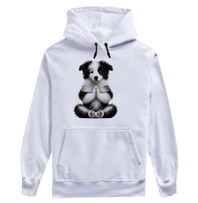 Border Collie Gratidão