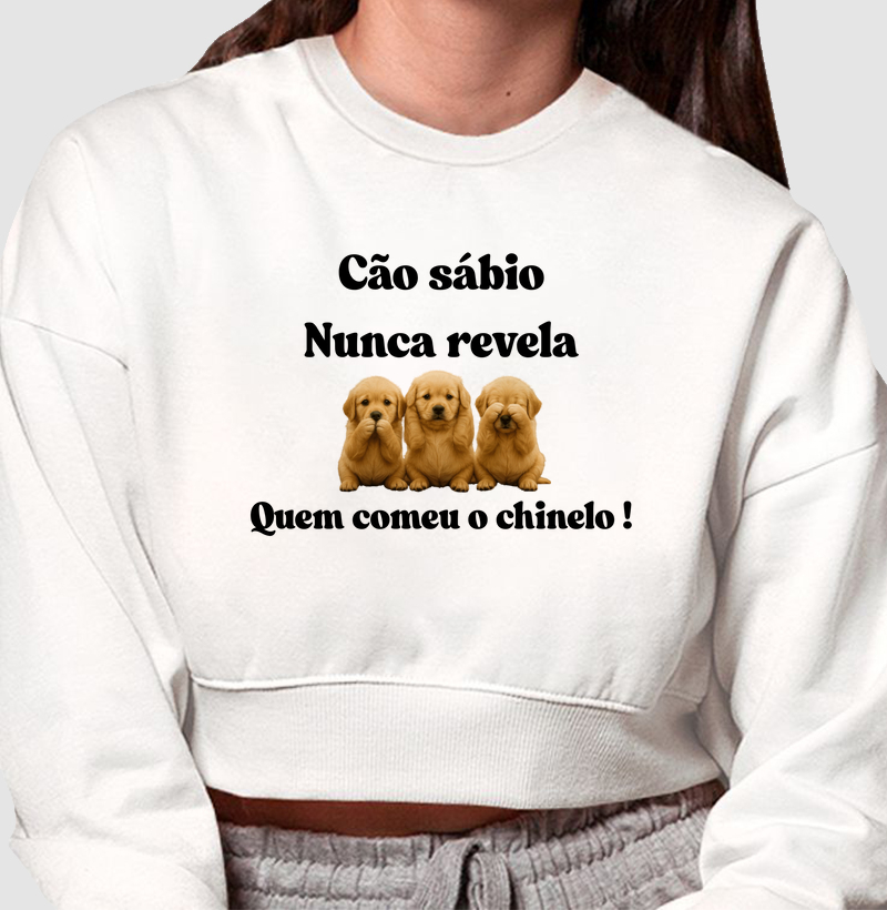 Cão sábio nunca revela quem comeu o chinelo!