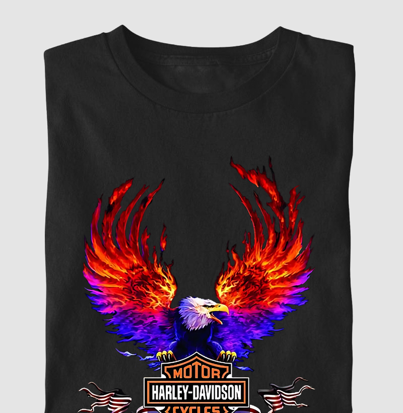 Harley Davidson 4