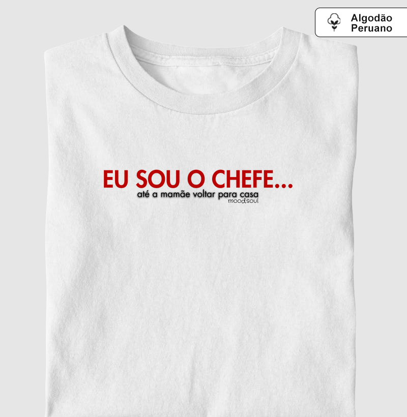 Eu sou o chefe… até a mamãe chegar em casa”