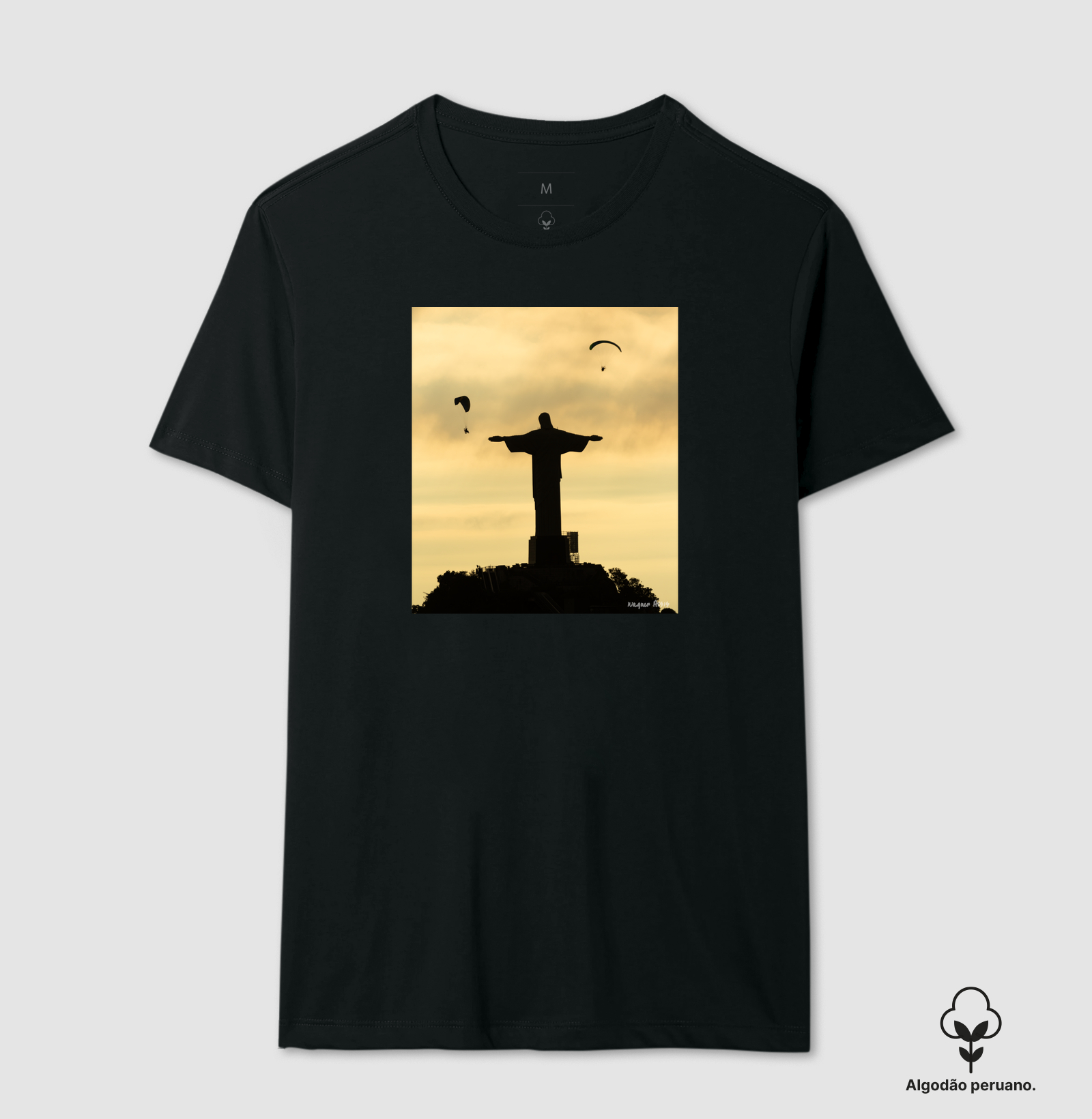 Camiseta Wings