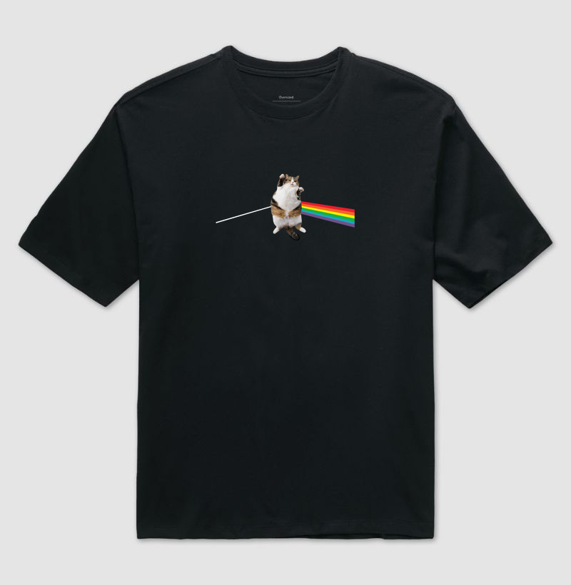 Fat Rainbow Cat