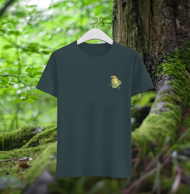 tucano dourado