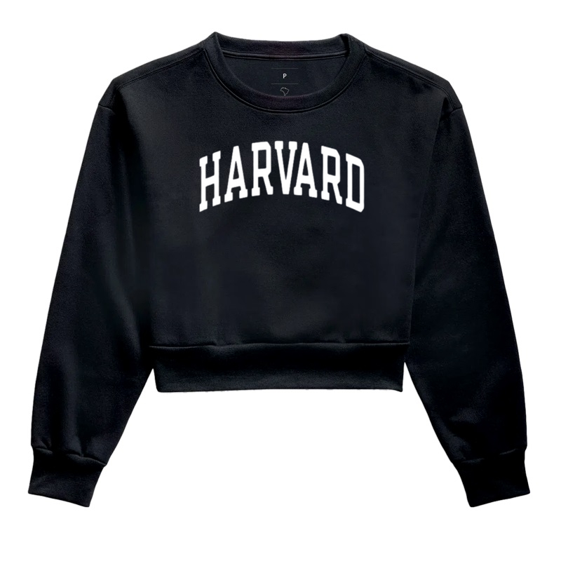 Camisa Harvard logo