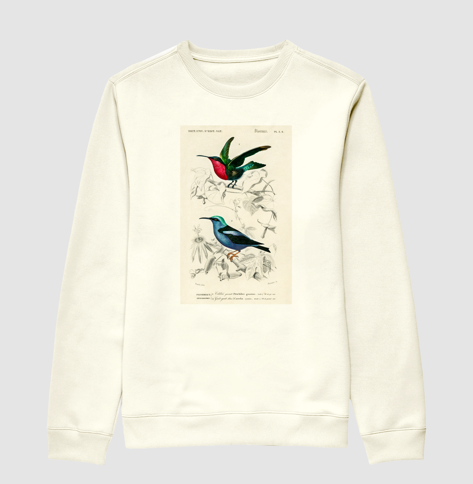 Colibri e Saíra-beija-flor