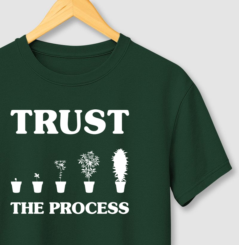 Trust The Process