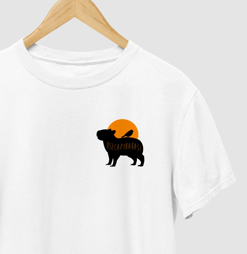 Use Capybara