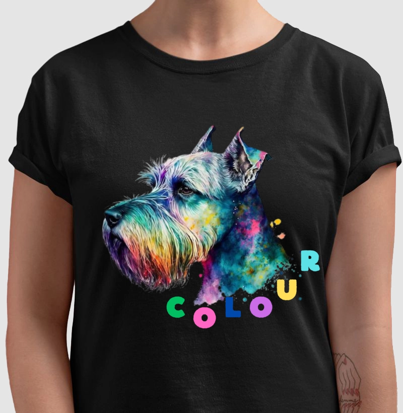 Colour