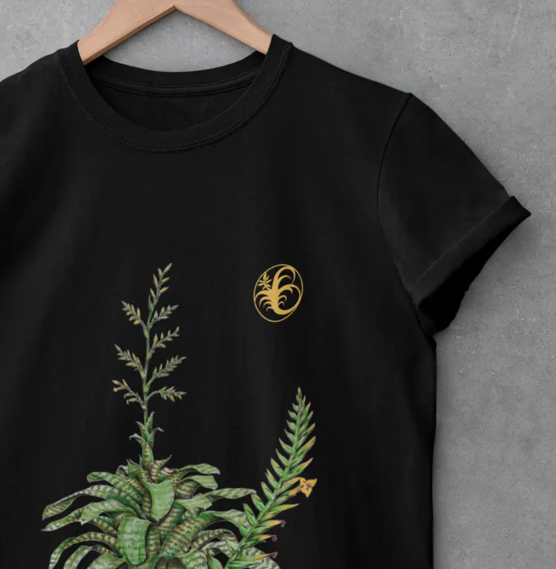Hieroglyphica
