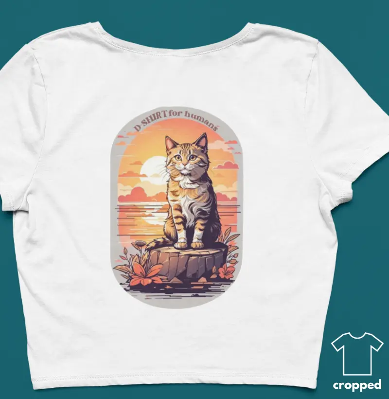 adventure cat