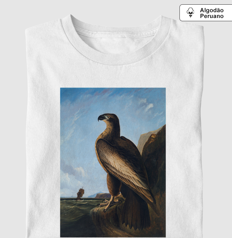 Washington Sea Eagle