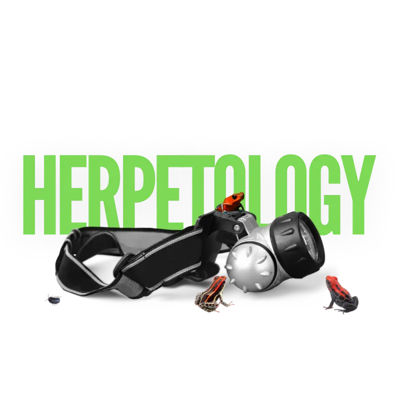 HERPETOLOGY