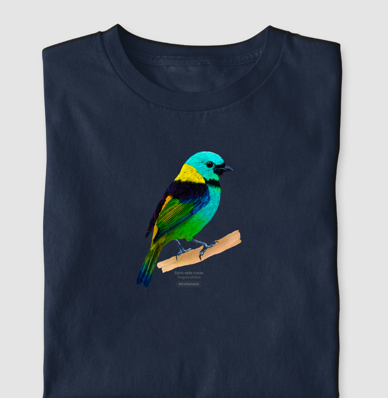 Aves do Brasil- Saíra-sete-cores