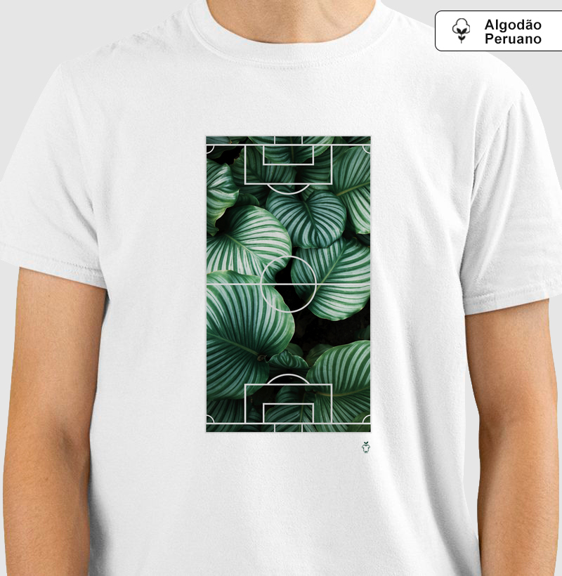 Plantas em campo!