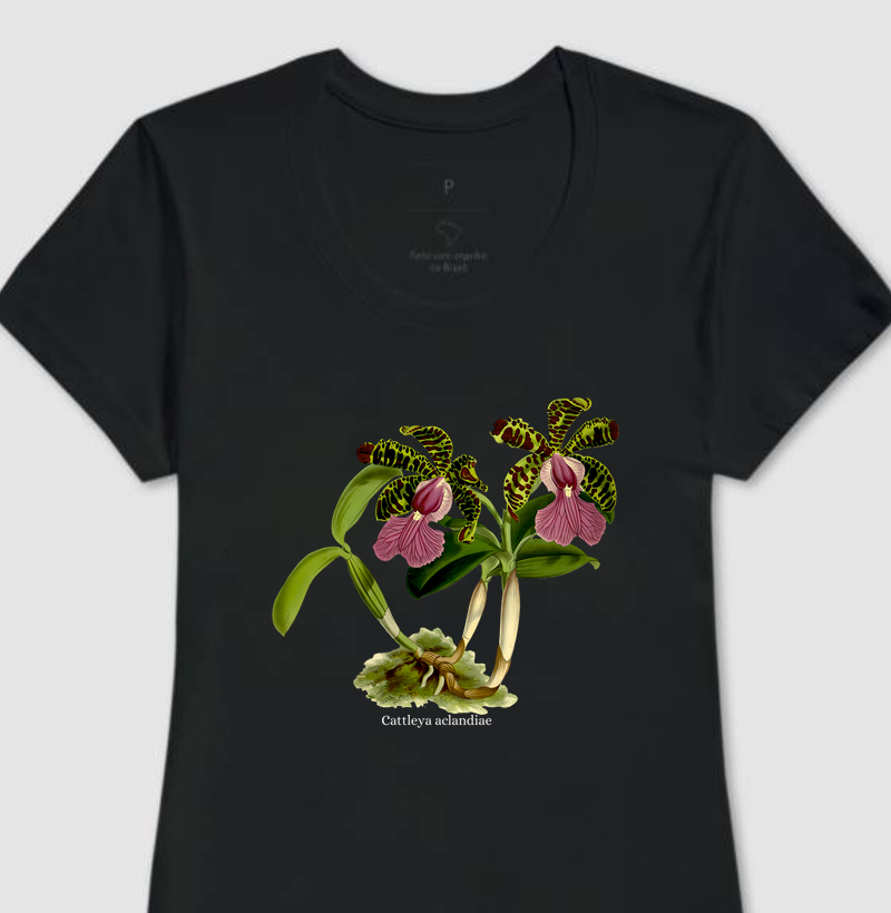 Camiseta Feminina Cattleya aclandiae