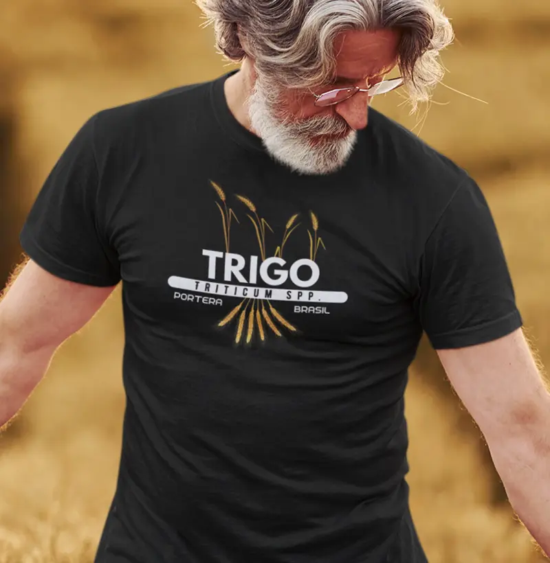 Triticum aestivum