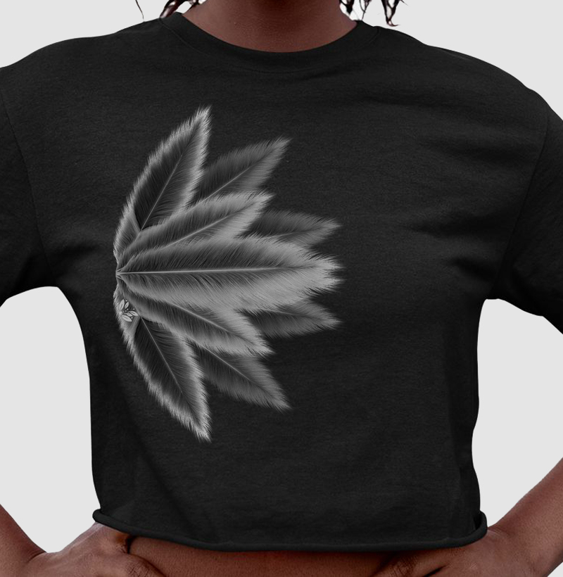Plumas Sutis 