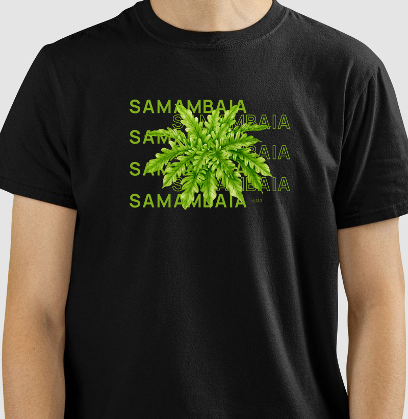 Samambaia 2
