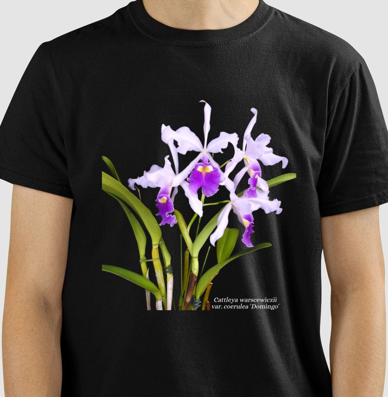 Camiseta Cattleya warscewiczii coerulea