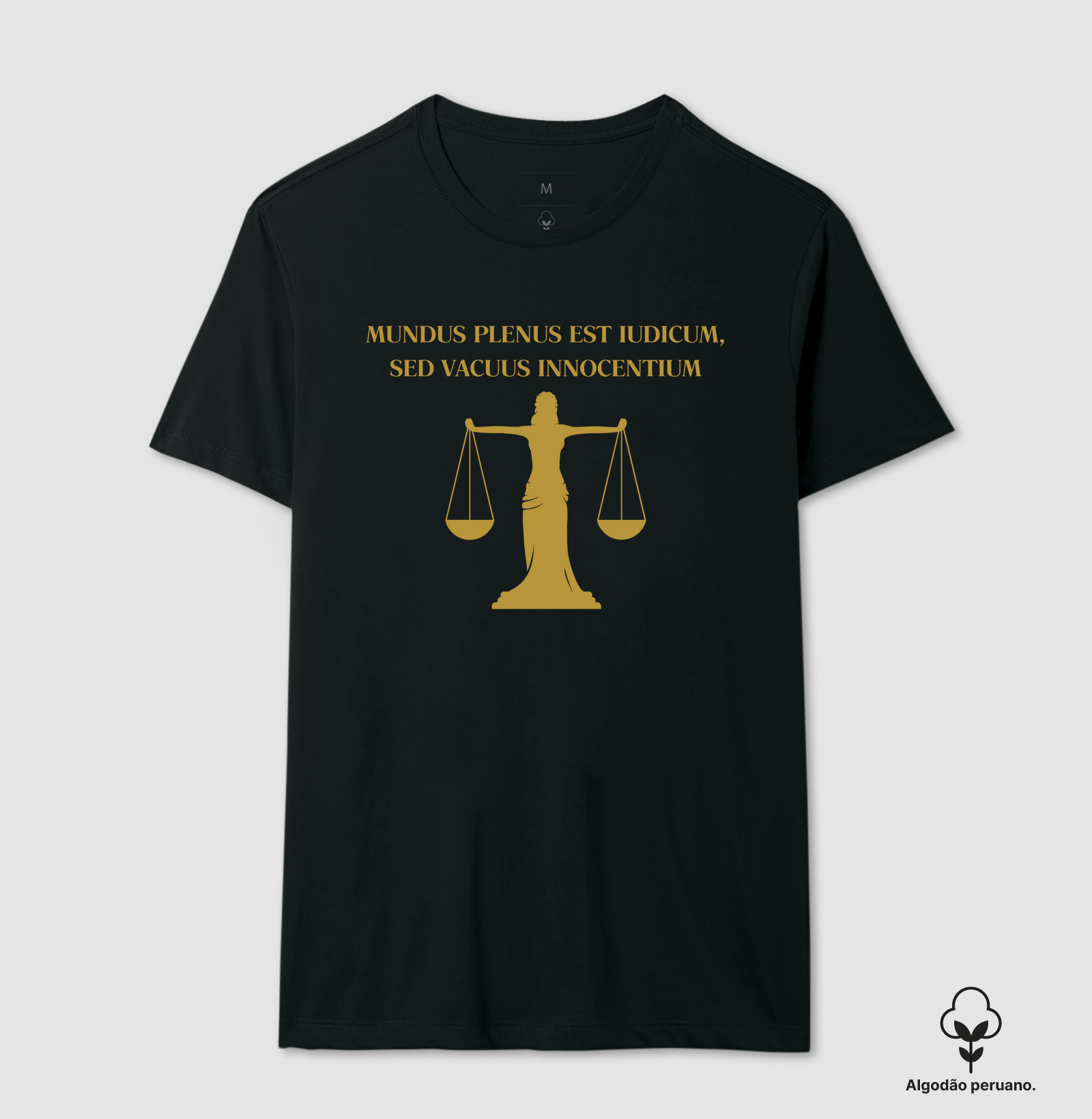 "Mundus plenus est iudicum, sed vacuus innocentium" - "O mundo é cheio de juízes, mas vazio de inocentes"