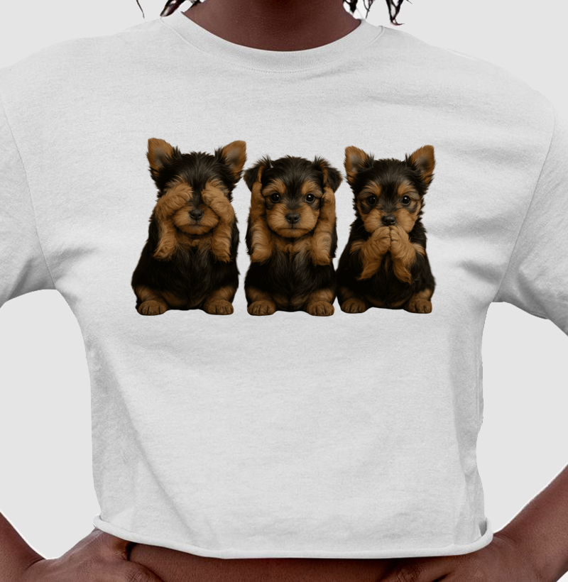 3 Yorkshire Sábios