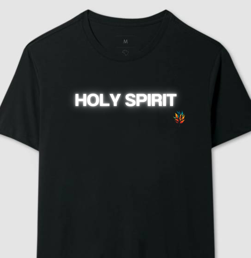 Camiseta Holy