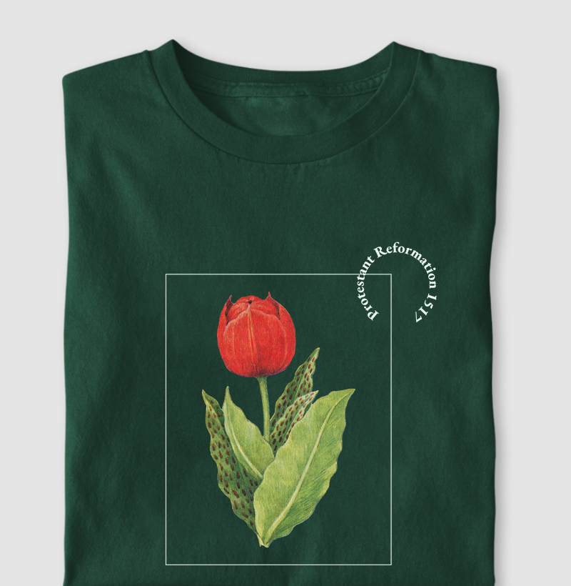 Tulip Reformation