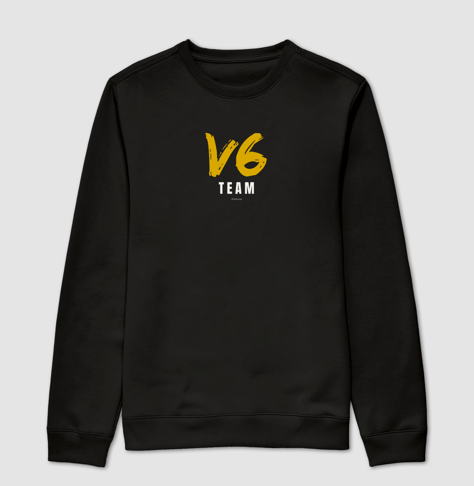 V6 team