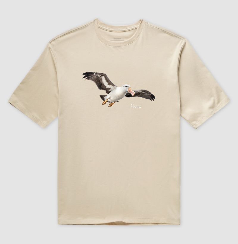 Albatroz