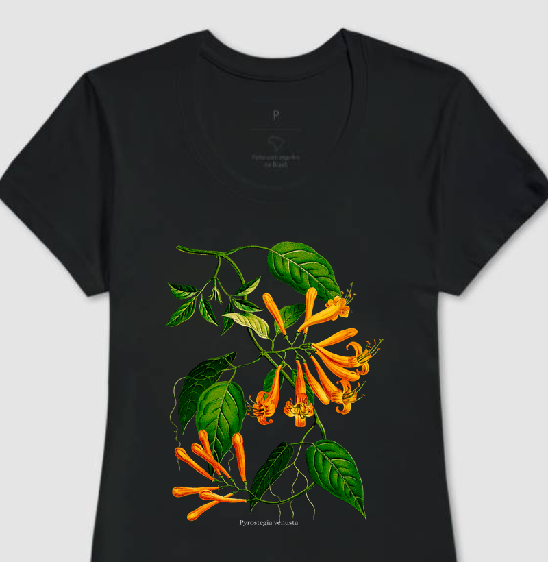 Camiseta Feminina Cipó de São João Pyrostegia venusta
